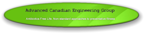 Advanced Canadian Engineering Group